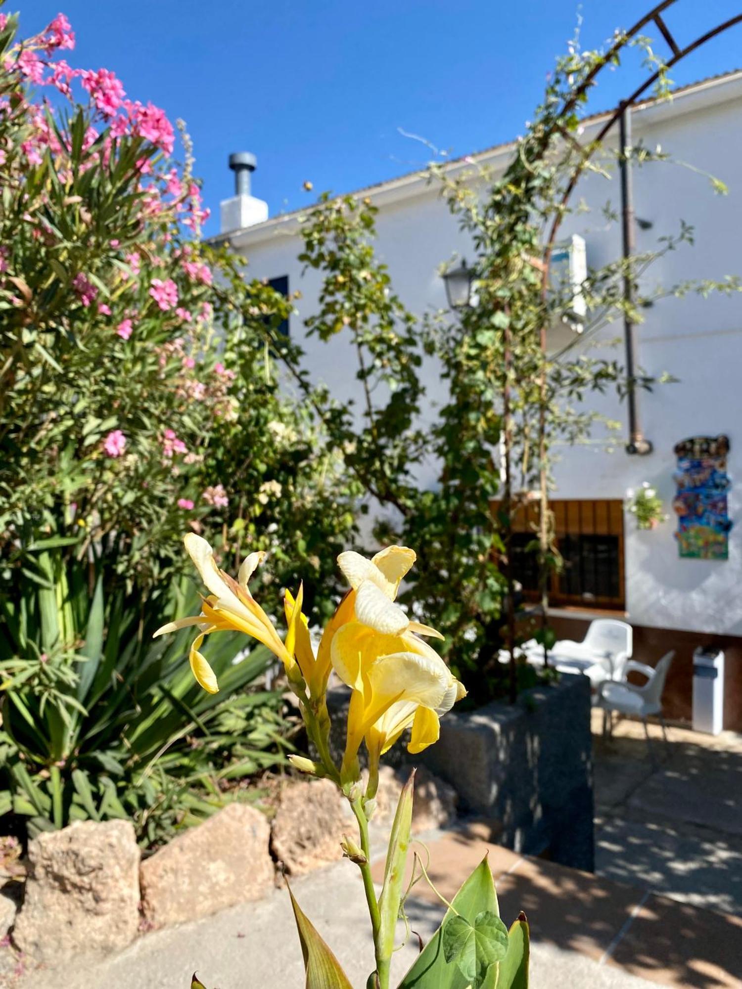 Alojamiento Rural Mar De Olivos Castril Exterior foto